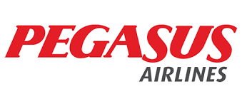 FsX; Pegasus TC-CPF Trabzon'da Kaza Yapan Uçak TDS 737-82r (FULL UÇAK) Pc